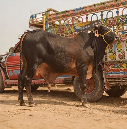 We Supply<br>Nationwide